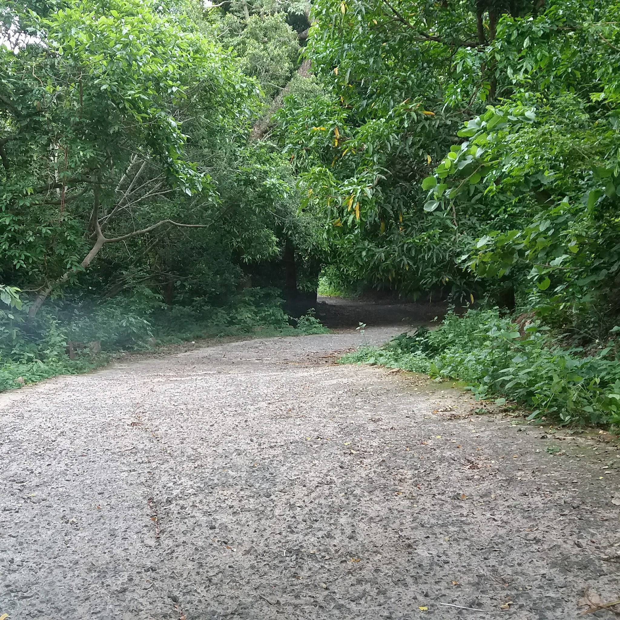 Saptasajya