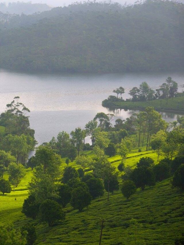 Famous Temples in Kerala