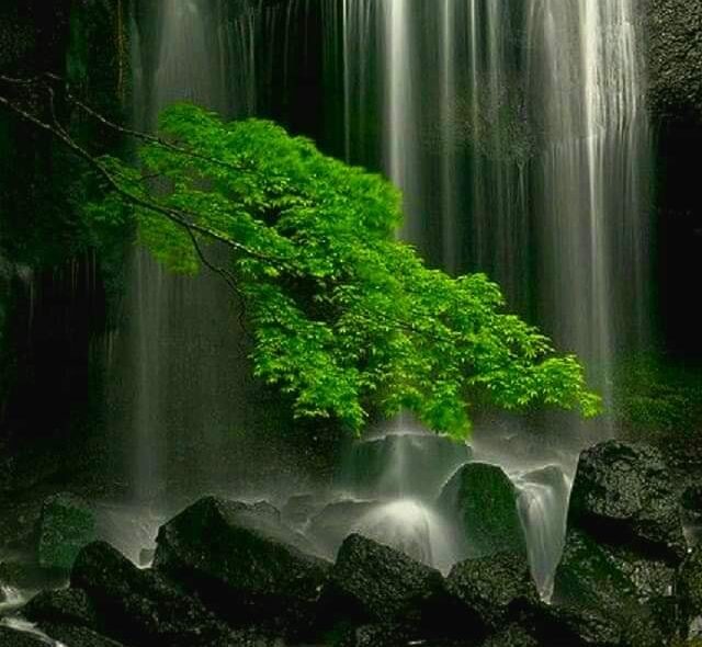 bari waterfall
