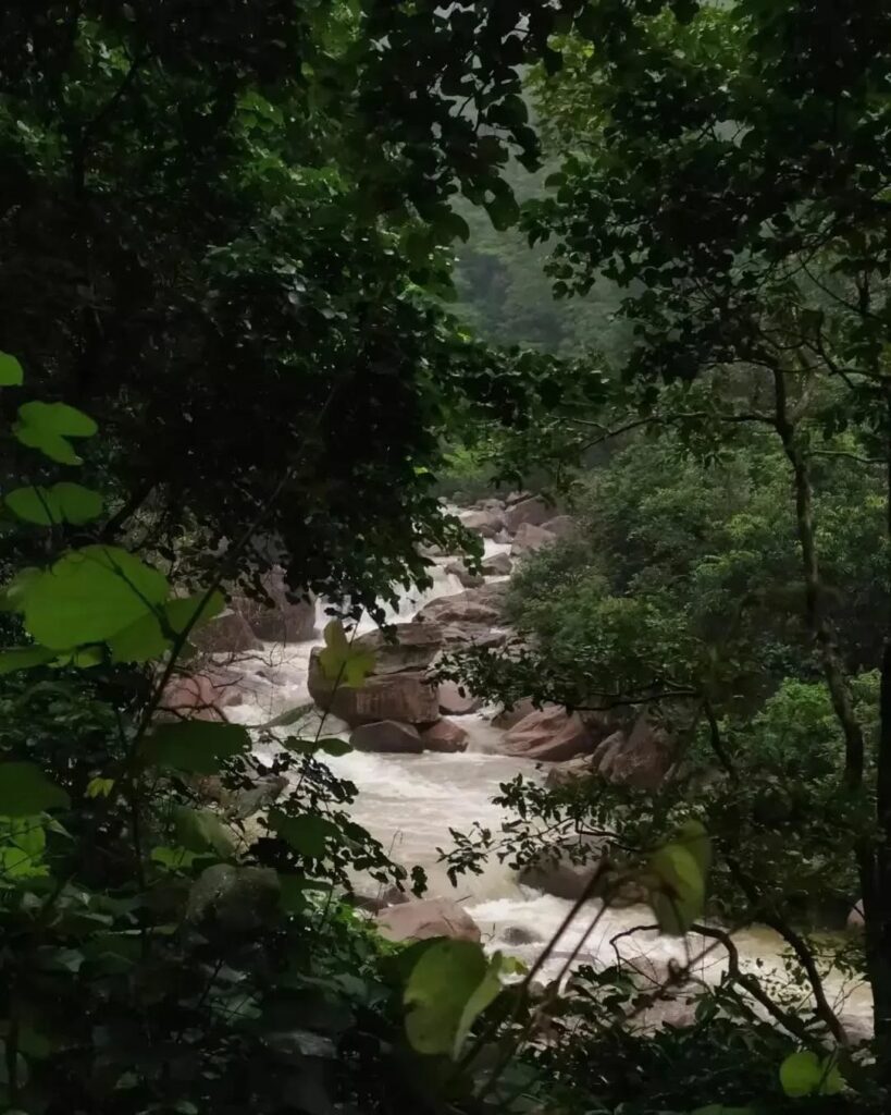 Lodh fall