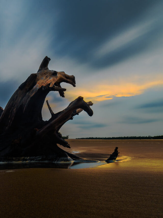 Talasari Udaypur Beach