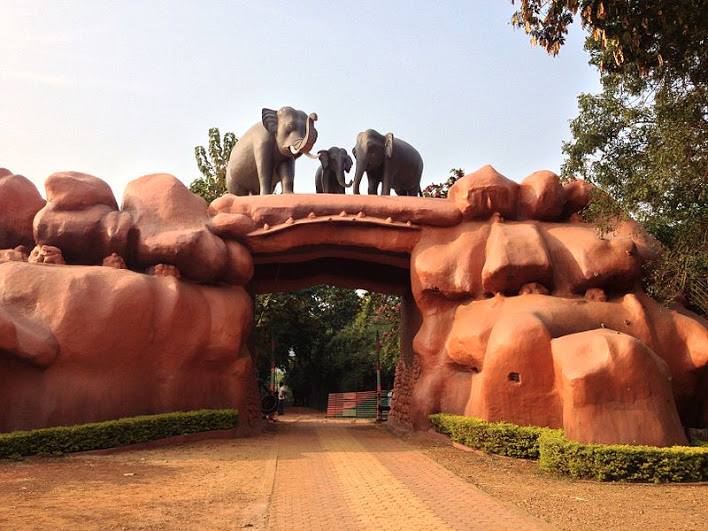 chandaka forest