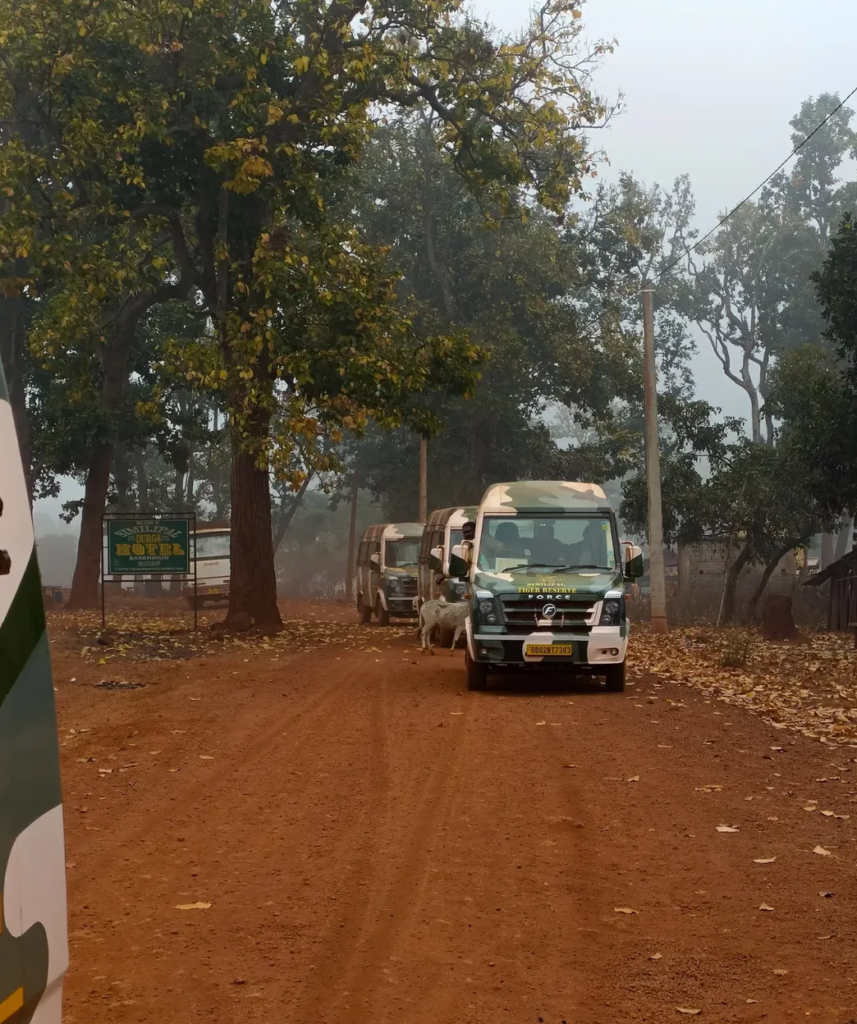 Exploring the Hidden Wonders of Similipal Reserve Forest Odisha
