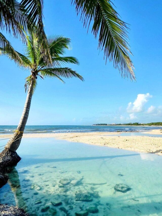 Why Go To Playa del Carmen