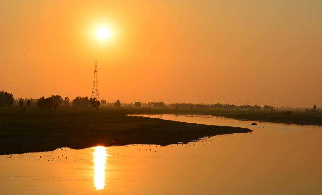 Harike Wetland