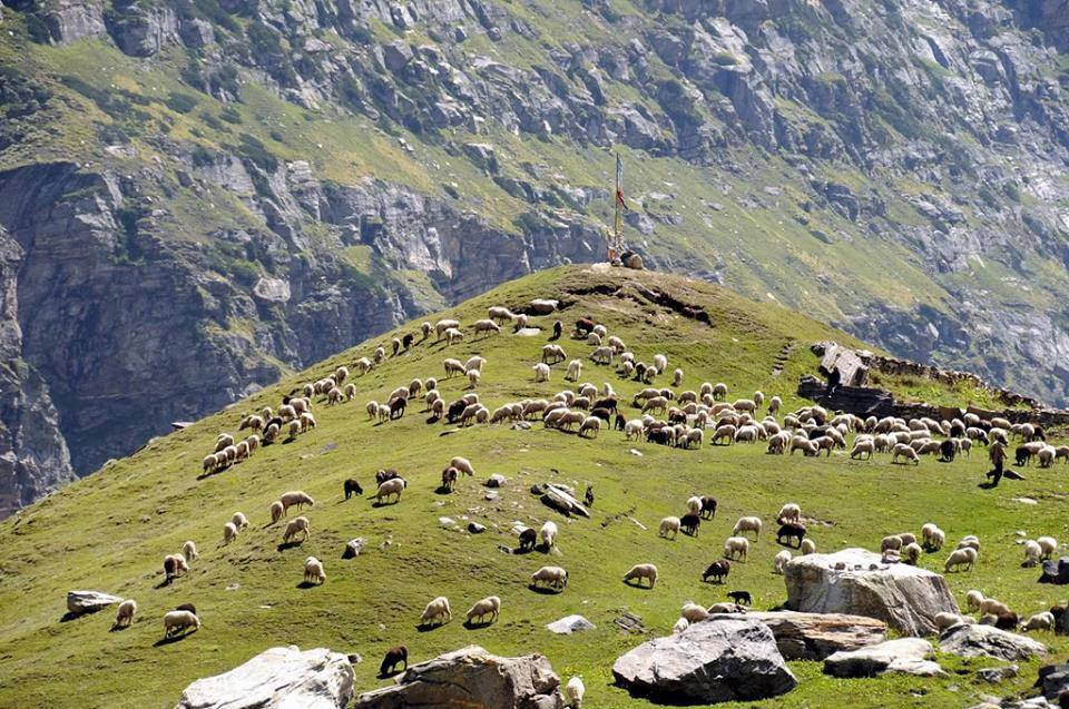 Lahaul Valley