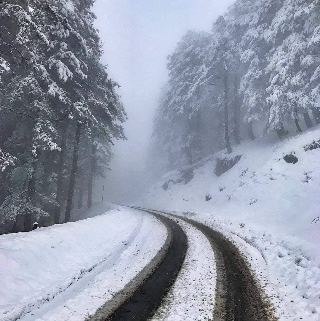 Mughal Road