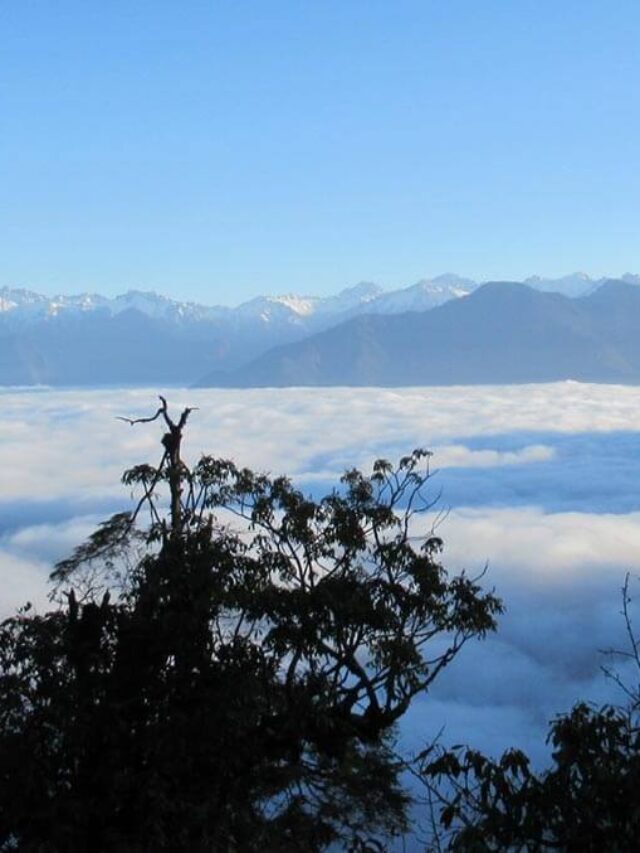 planning a trip to Haryana