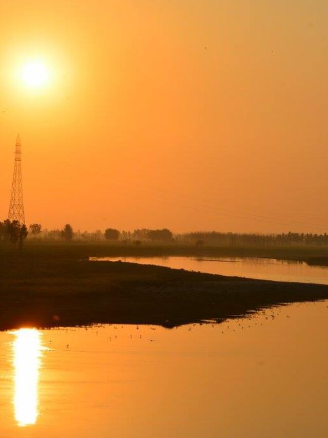 Harike Wetland