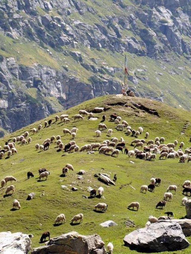 Lahaul Valley