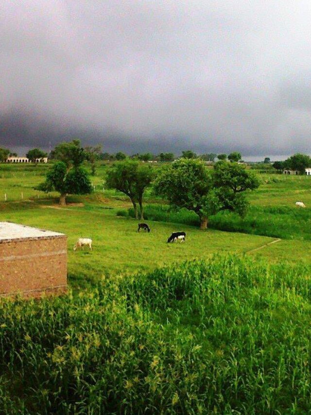 planning a trip to  Punjab