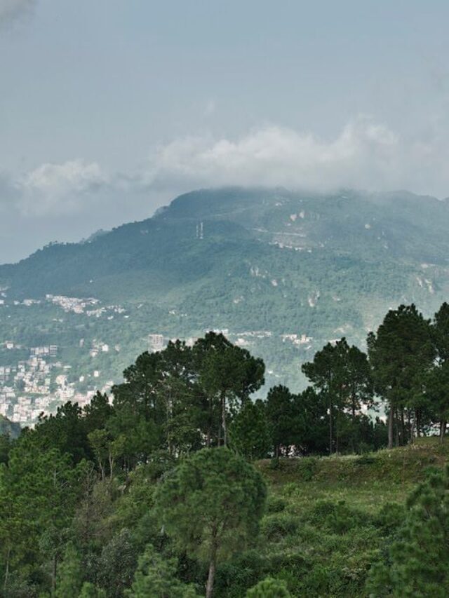 planning a trip to   Solan