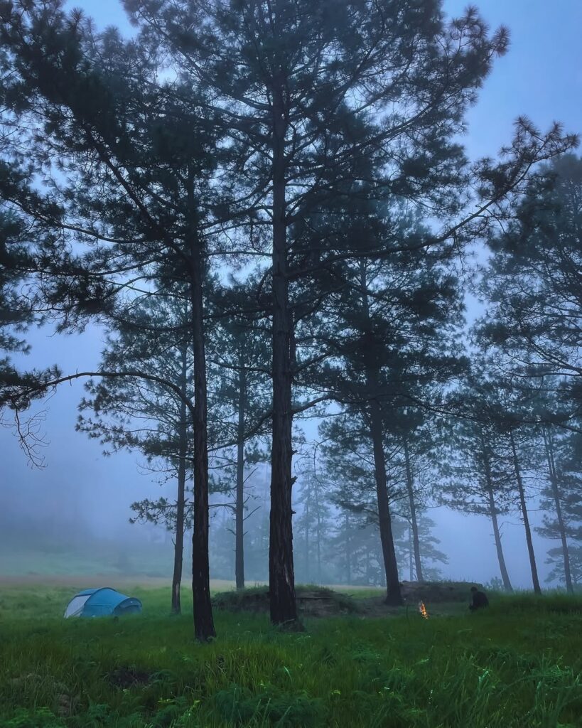 Arunachal Pradesh