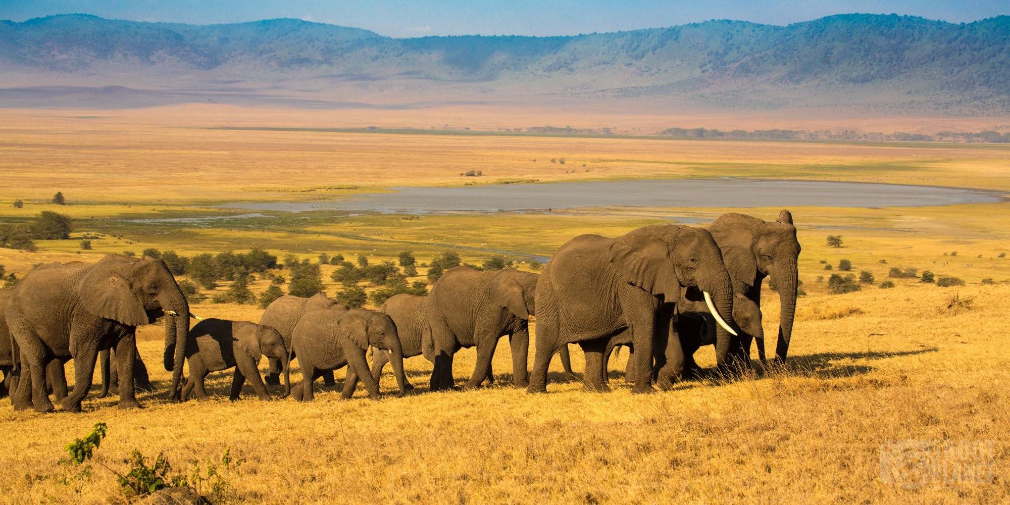 World’s Largest Safari Park Haryana