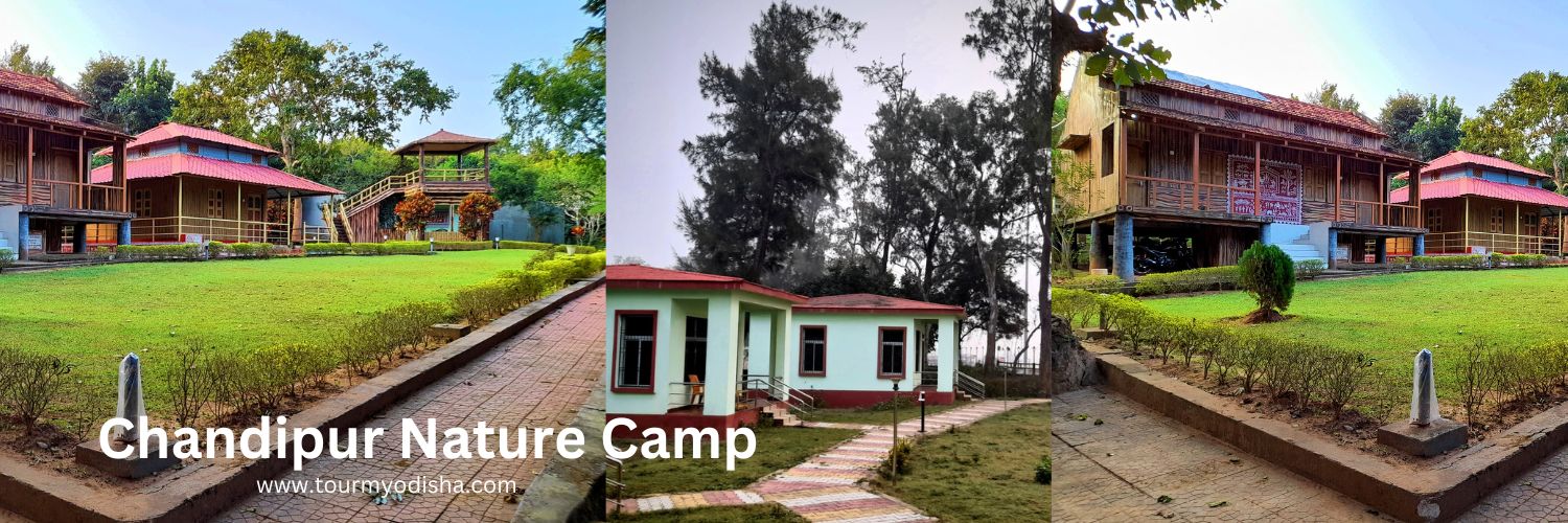 Chandipur Nature Camp
