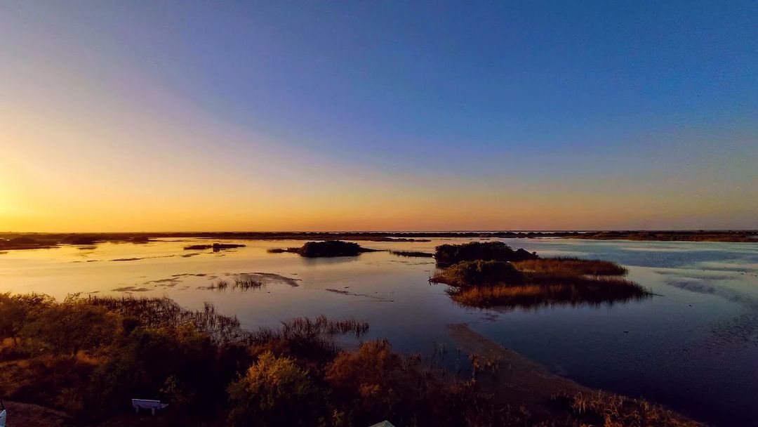 Khijadiya Bird Sanctuary