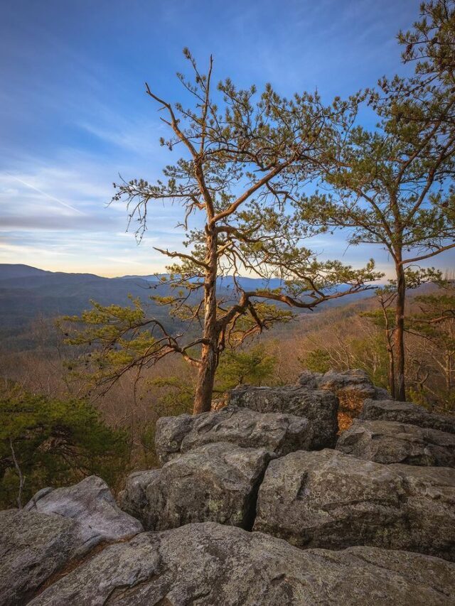 Kaimur Wildlife Sanctuary
