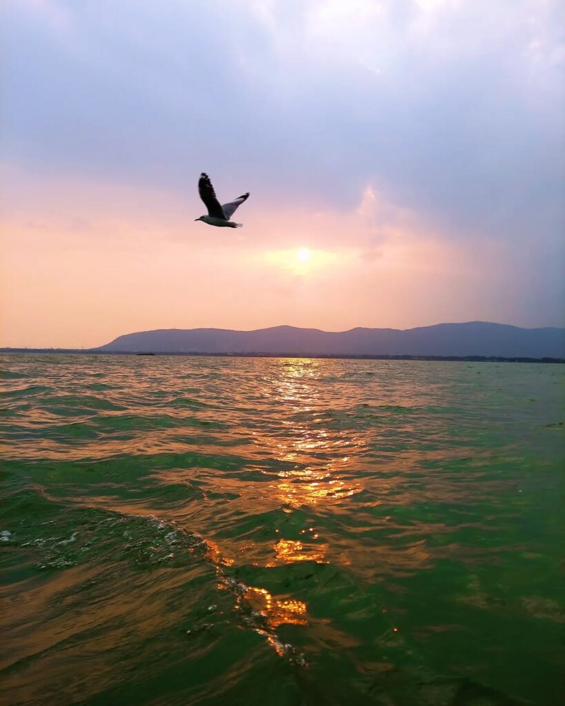 Chilika Lake Bird Sanctuary