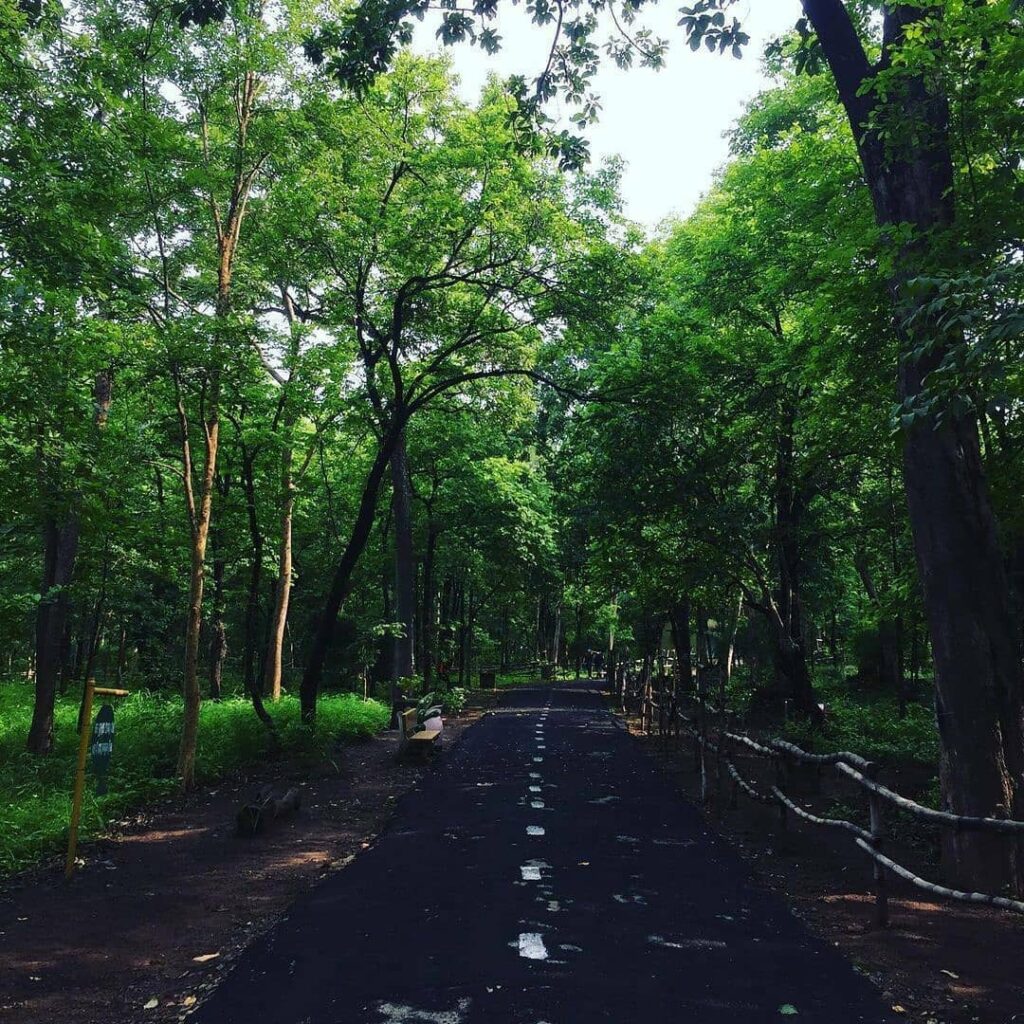bhawanipatna picnic spot