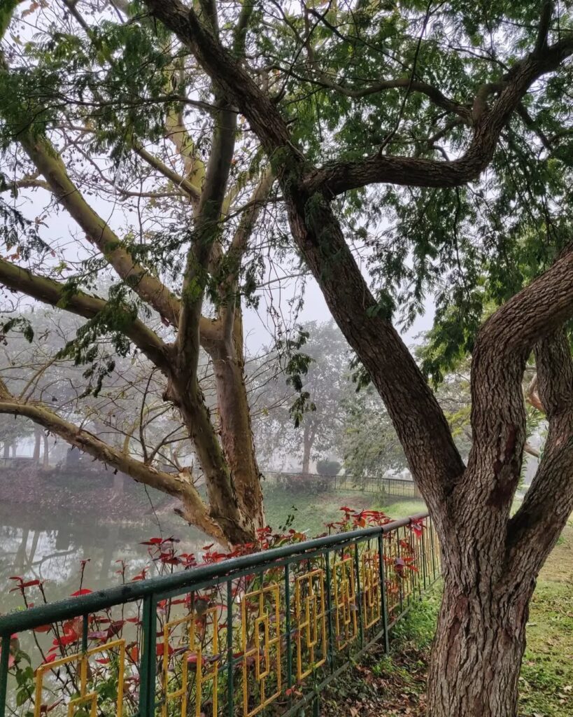 Botanical Gardens Bhubaneswar