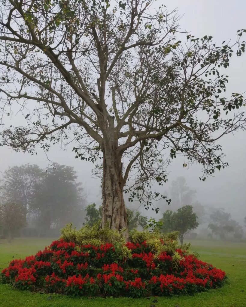 Ekamra Kanan Bhubaneswar odisha