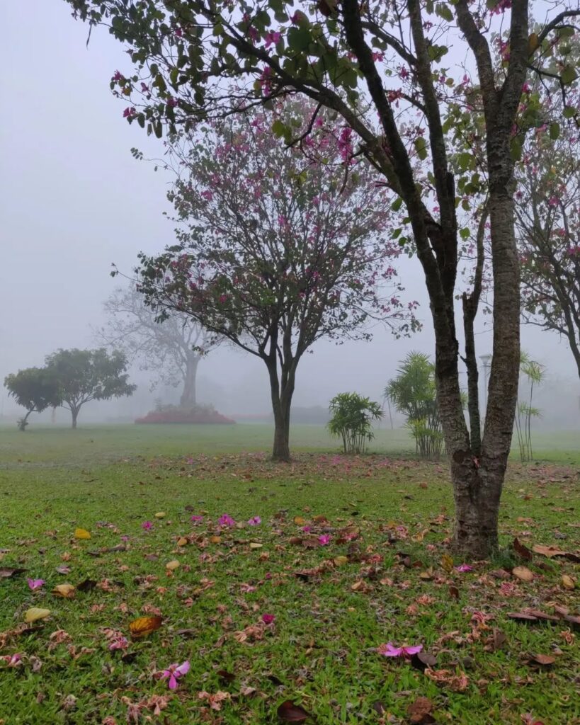 Ekamra Kanan Botanical Gardens Bhubaneswar