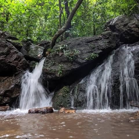 Saptasajya Nature And Wildlife