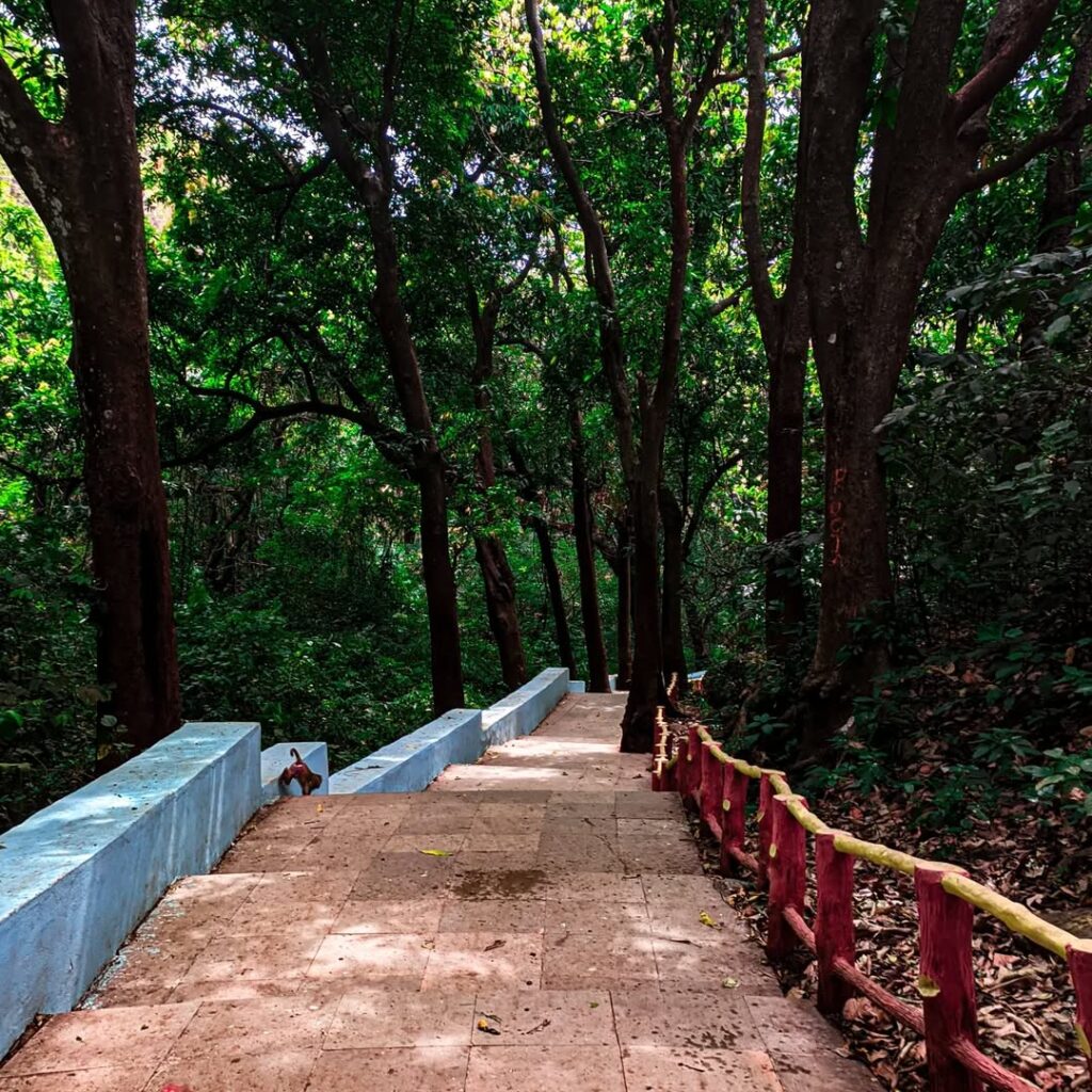 Saptasajya Nature & Wildlife