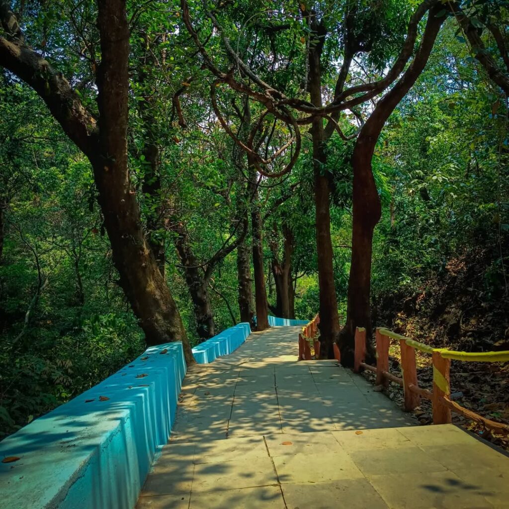 Saptasajya Nature camp