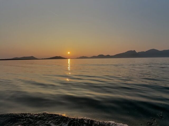 Discover the Best Picnic Spots Near You