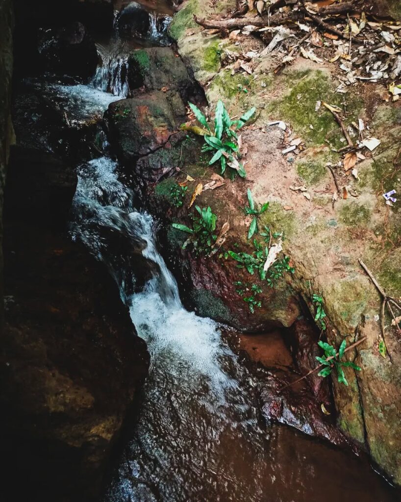Saptasajya Nature