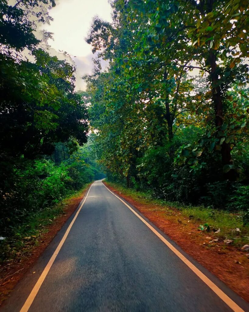 Saptasajya Nature