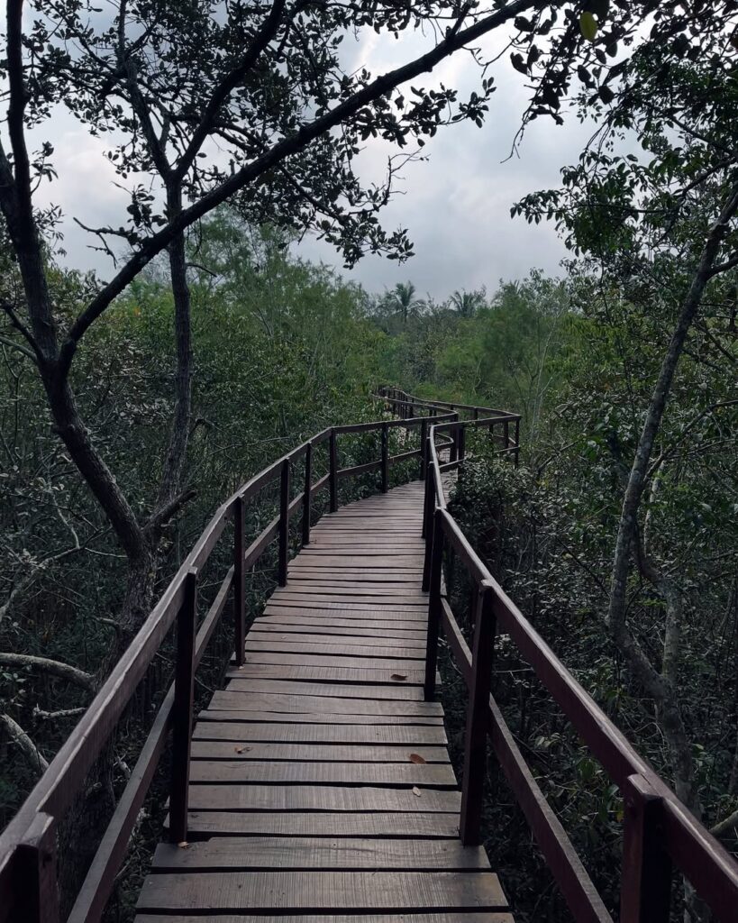 Dangamala bhitarkanika