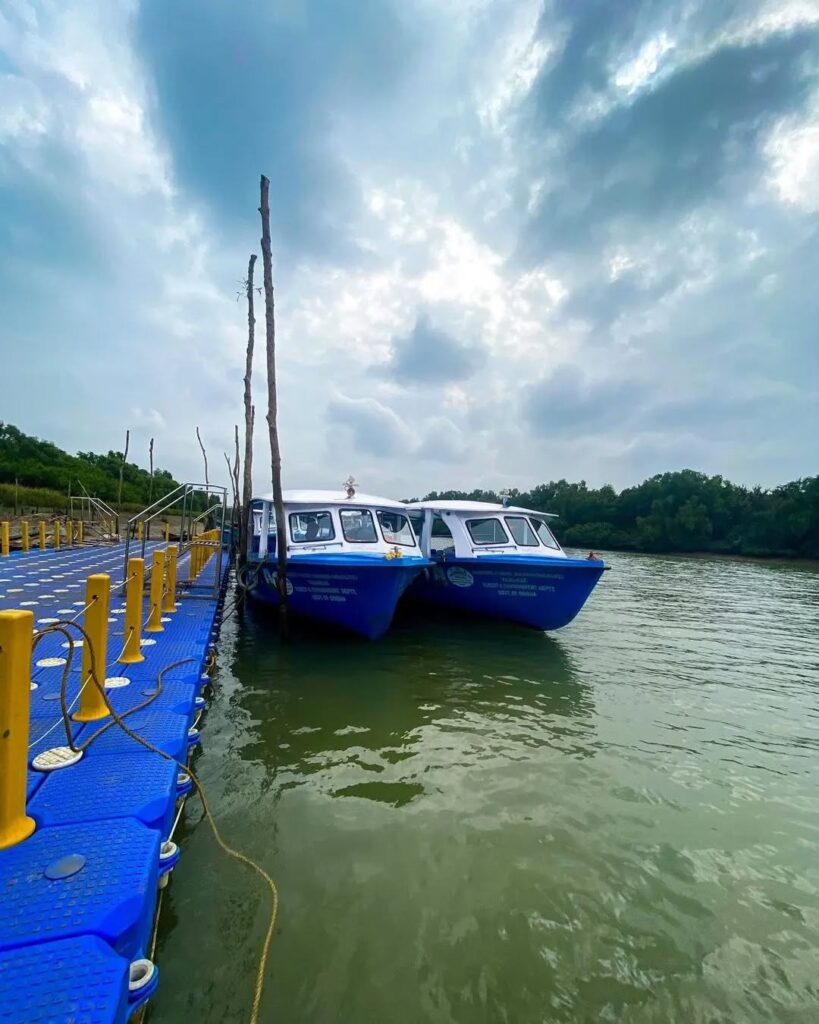 Dangamala in bhitarkanika is a different place on its own. After a thrilling boat ride one can
