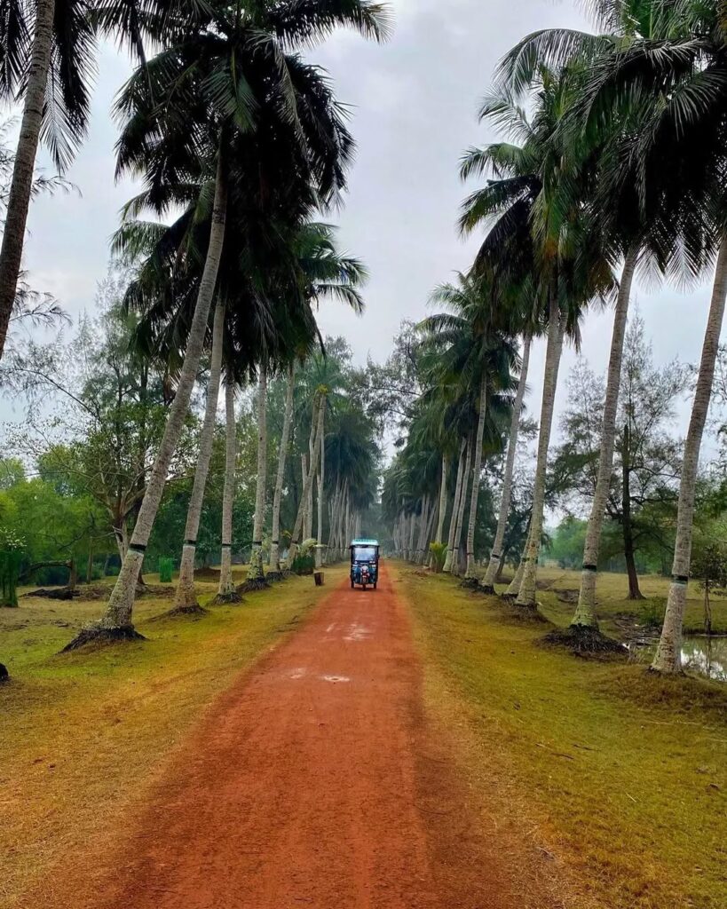 Dangamala in bhitarkanika is a different place on its own. After a thrilling boat ride one can