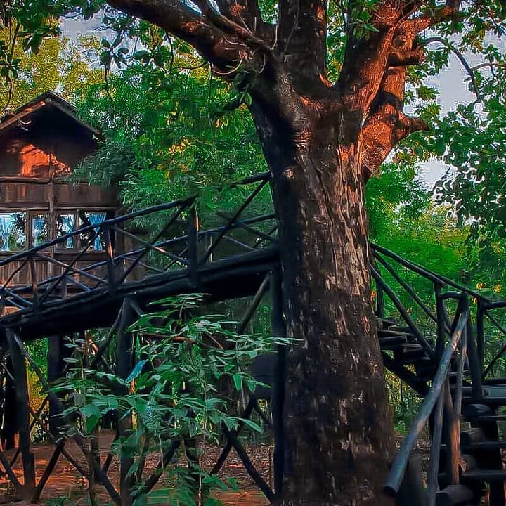 Madhav NationalPark