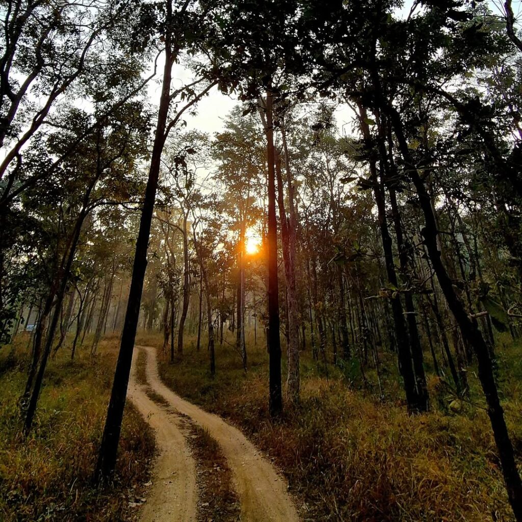 Pench National Park