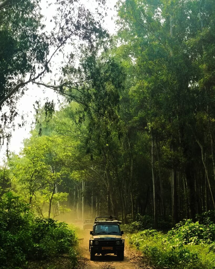 Rajaji National Park, Uttrakhand