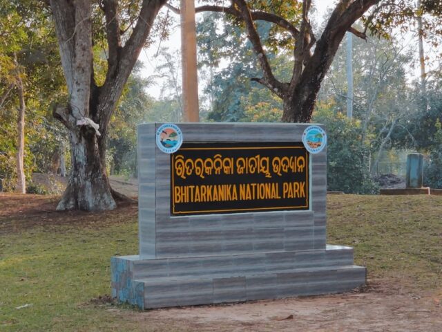 Discover the Serenity of Dangamal Nature Camp