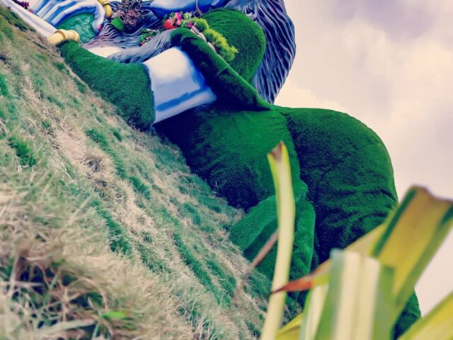 Palmetum & Patadevi Dangar Ecotourist Park